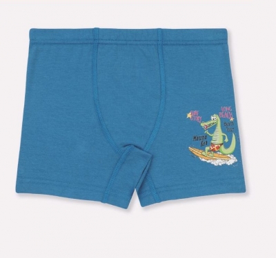 Трусы детские для мальчика Трусы детские для мальчика