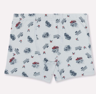 Трусы детские для мальчика