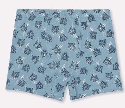 Трусы детские для мальчика